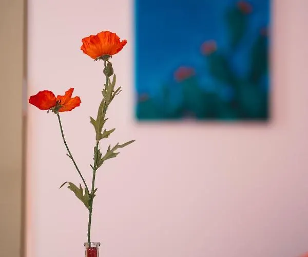 U Passiaturi Big House شقة كاتانيا